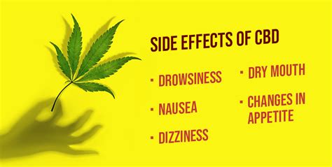 The Ultimate Guide To CBD Vs THC - Side Effects, Benefits and Uses