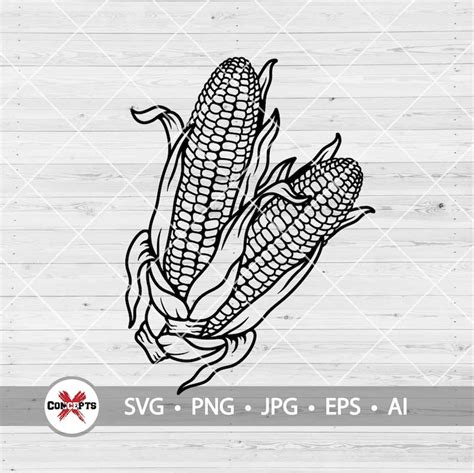 Corn SVG Maiz Silhouette Corn Lineart SVG Corn Clipart - Etsy