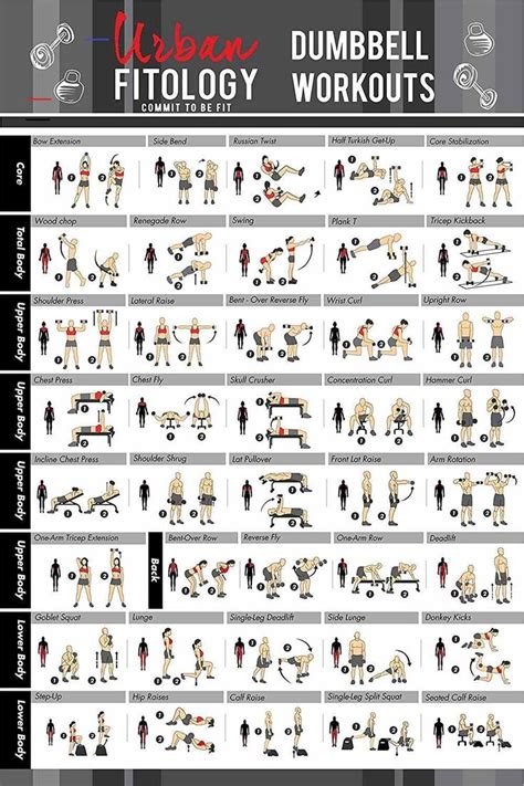 Urban Fitology Dumbbell Exercise Workout Poster for Men and Women - 40 ...