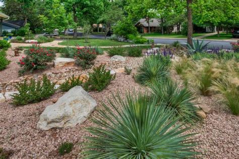 Xeriscape Design Ideas | HGTV