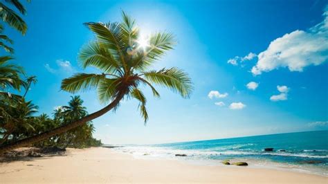 Beautiful Sunny Beach Wallpaper - Nature HD Wallpapers - HDwallpapers.net