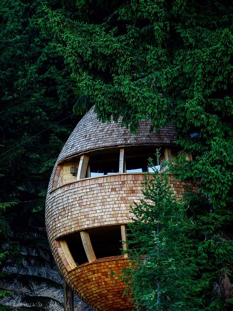15 Most Awesome Tree Houses From Around The World