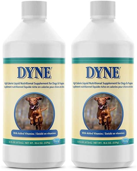 Does Dyne for Dogs Works?