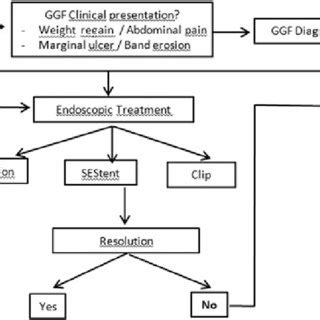 Clinical algorithm for the management of gastrogastric fistula. | Download Scientific Diagram