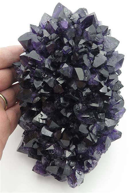 Large 3 pound 12.8 ounce Black Amethyst Crystal, Uruguay. Above Excellent.