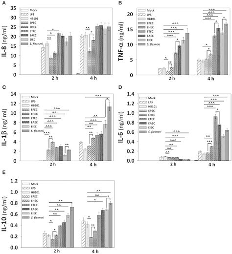 Infection of human macrophages THP-1 cell line with the different E ...