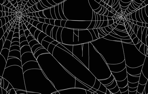 Spider Web Background 3107462 Vector Art at Vecteezy