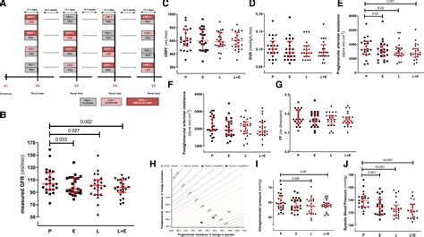 Kidney Hemodynamic Effects of Angiotensin Receptor Blockade, Sodium-Glucose Cotransporter-2 ...