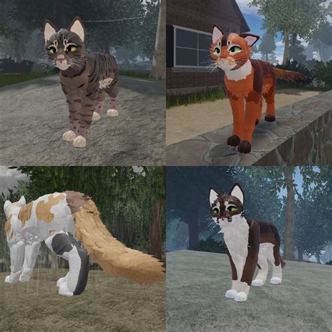 WCUE morph ideas not mine realistic cat morphs Warrior Cat Names, Warrior Cats, Emma, Oc, Public ...