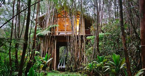 Best Treehouse Rentals On Airbnb For Fall Getaways 2018