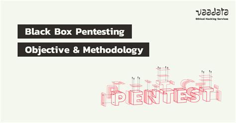 Black Box Pentesting: Objective, Methodology and Use Cases