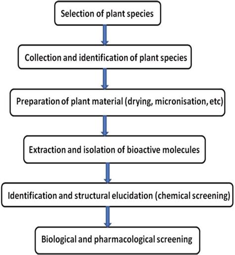 Flowchart of plant bioactive molecules profiling. | Download Scientific ...