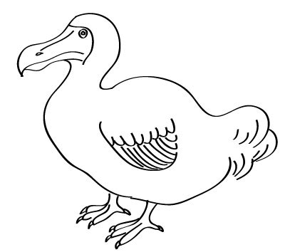 Dodo Bird Drawing at GetDrawings | Free download