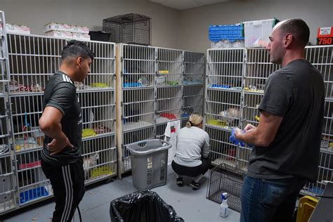 DVIDS - Images - MCAS Yuma Marines volunteer at the Humane Society of ...