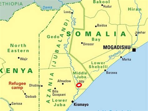 Somalia: Al Shabaab charges 5 of spying, executes them in Jilib town | SomTribune