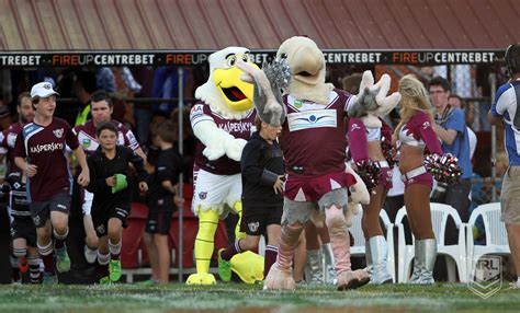 Manly Sea Eagles Mascot / Mascots They Re In It For Love Not Money Nrl - Manly sea eagles ...