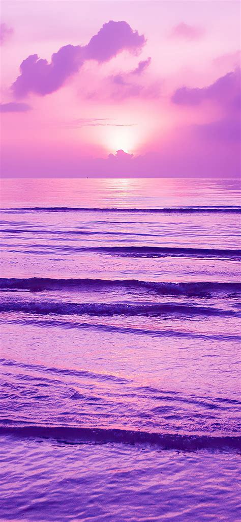 purple sunset 4k iPhone Wallpapers Free Download