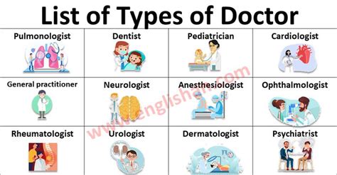 Types of Doctor's Specialization List with Meanings | Englishan | Medical humor, Doctor of ...