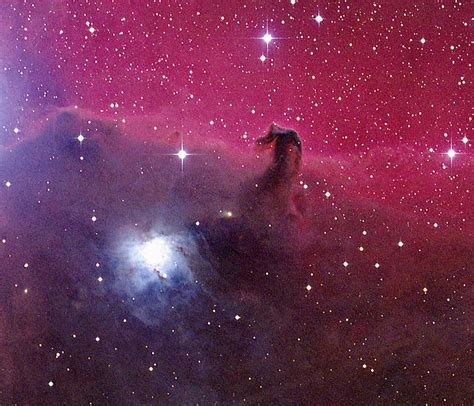 🔥 [40+] Horse Nebula Wallpapers | WallpaperSafari