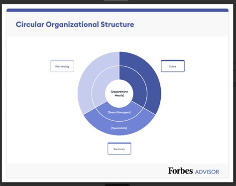 7 Organizational Structure Types (With Examples) – Forbes Advisor