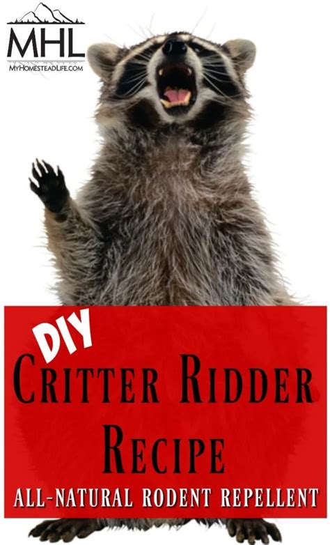 DIY Critter Ridder Recipe- Natural Rodent Repellent - My Homestead Life