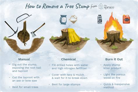 Kill Tree Roots, Kill Tree Stump, Tree Stump Killer, Tree Stumps Diy, Diy Tree, Deep Cleaning ...