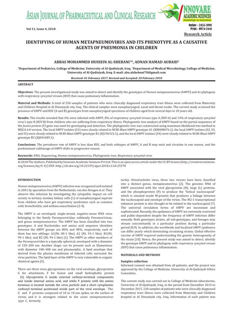 (PDF) Identifying of human metapneumovirus and its phenotype as a ...