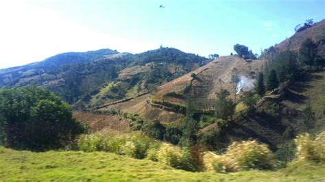 Paisaje de Provincia de Bolívar. | Los glaciares national park ...