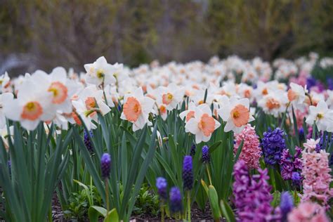 Maine's Botanical Garden | Coastal Maine Botanical Gardens