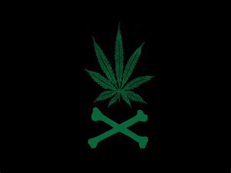 🔥 [50+] Wallpapers of Weed Skull | WallpaperSafari