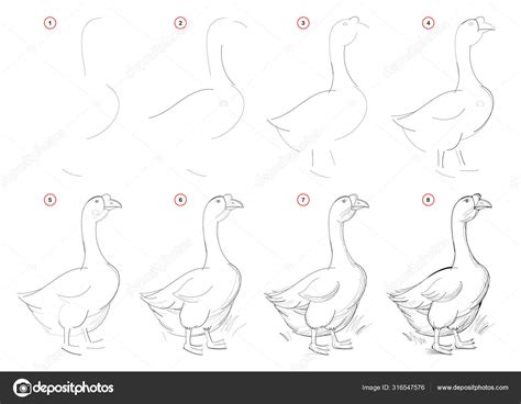 How To Draw Nature Step By Step : We outline the banks' edges with ...