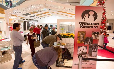 Operation Kindness to bring adoptable pets to Galleria Dallas for ...