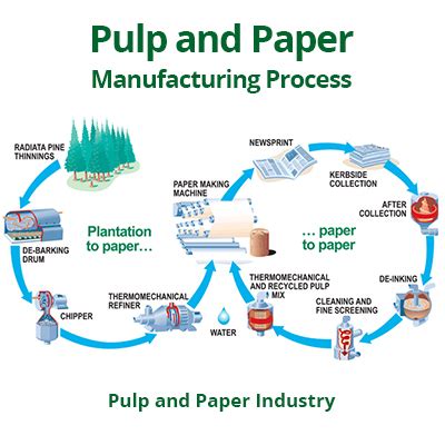 The Difference between Virgin Pulp & Recycle Pulp