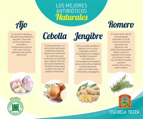 Blog de la Escuela Tezza : Los Mejores Antibióticos Naturales