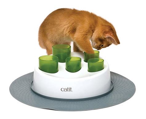 These interactive toys will keep your cat entertained