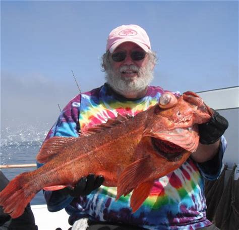 Ventura Harbor Sportfishing - Ventura Sportfishing ~ Schedule for the WEEKEND ~ Overnight & 3/4 Day