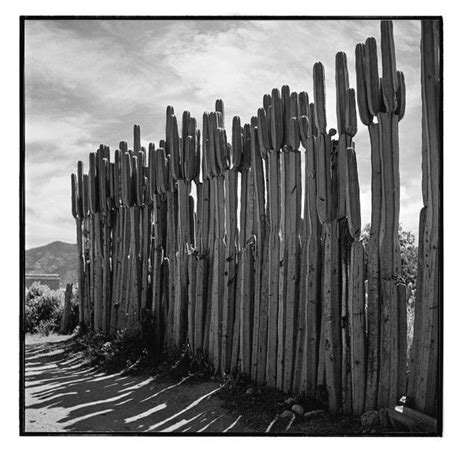 17 best images about Fotografía: Juan Rulfo on Pinterest | Literatura, Rompers and Labor