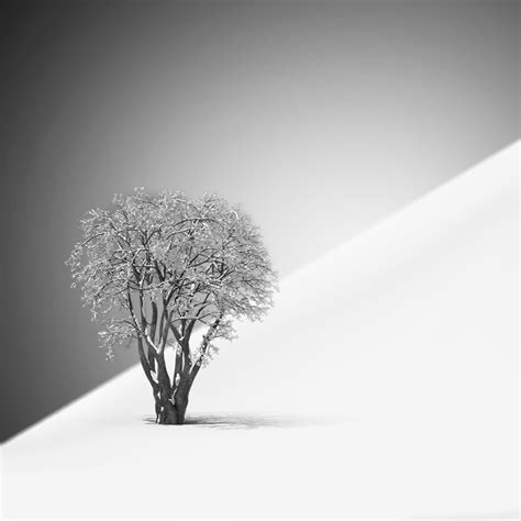 minimalistblackandwhitephotography8 – Fubiz Media