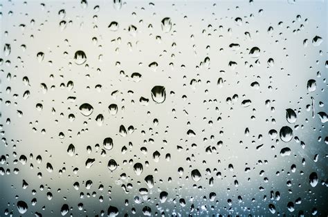 Free Images : nature, liquid, black and white, water drop, window ...