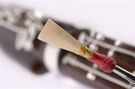 How Long Do Bassoon Reeds Last? – Clean My Instrument