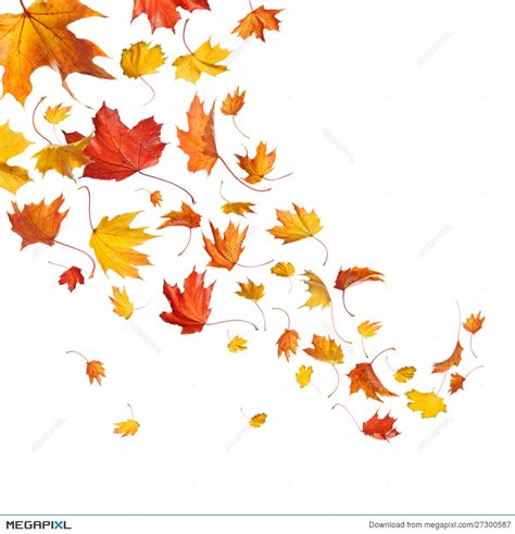 animated fall leaves clipart 10 free Cliparts | Download images on Clipground 2022