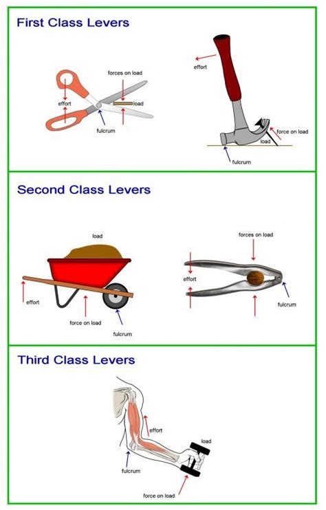 Which of the Following Examples of Levers Is Mismatched - HeidykruwNguyen