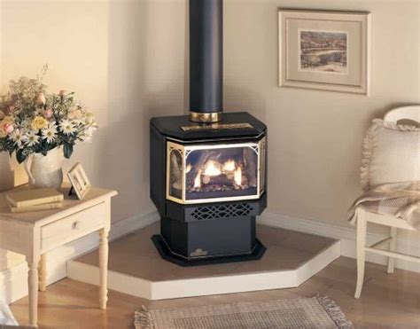 Napoleon GDS28-1SB 30000 BTU Free Standing Direct Vent Natural Gas Stove - Fireplacess.com