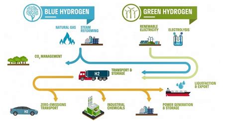 Understanding hydrogen's role in Energy Transition to help find investment opportunities | RC ...