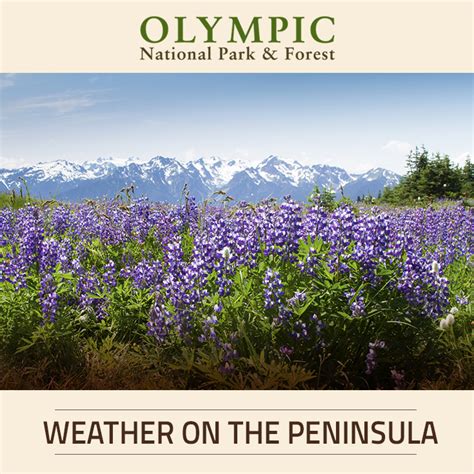 Weather | Olympic National Park & Forest |Olympic Peninsula WA