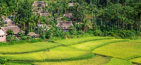 The Best 10 Pu Luong Nature Reserve Tours | ORIGIN VIETNAM