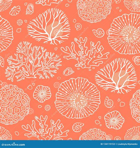 Seamless Pattern with Corals Stock Illustration - Illustration of ...