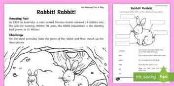 Rabbit! Rabbit! Worksheet / Worksheet (Teacher-Made)