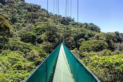 Monteverde Sky Tram & Hanging Bridges Cloud Forest Tour from San Jose