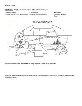 Nutrient Cycle Practice by Mrs Yang | Teachers Pay Teachers